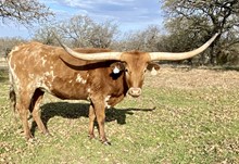 THR COUNTRY CHARM